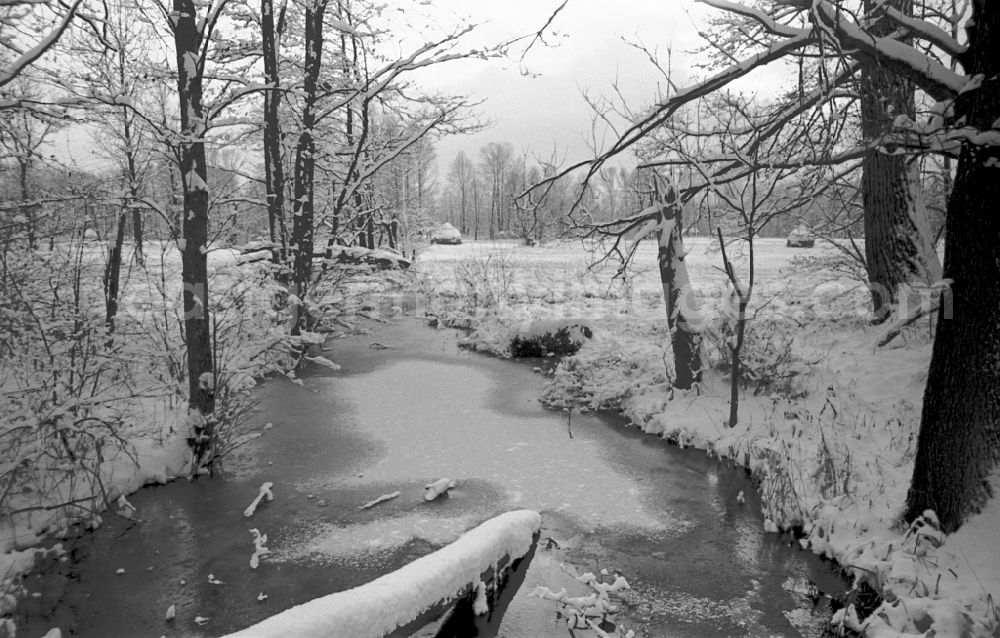 GDR image archive: Lehde - Winter landscape on a branch of the Spree in Lehde im Spreewald, Brandenburg on the territory of the former GDR, German Democratic Republic