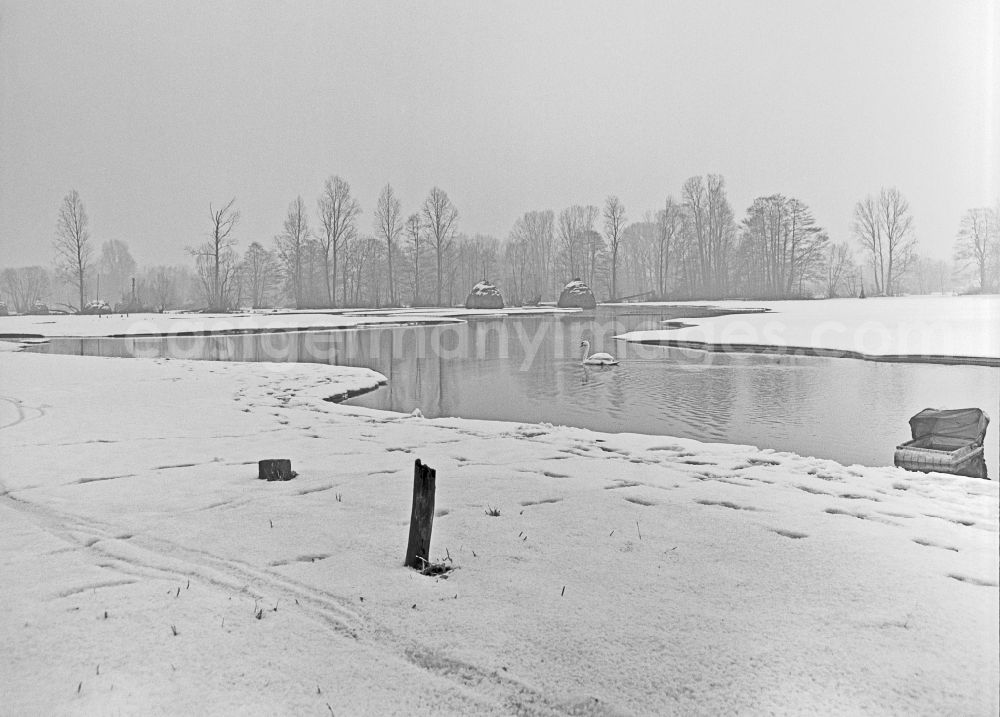 GDR photo archive: Lehde - Winter landscape on a branch of the Spree in Lehde im Spreewald, Brandenburg on the territory of the former GDR, German Democratic Republic