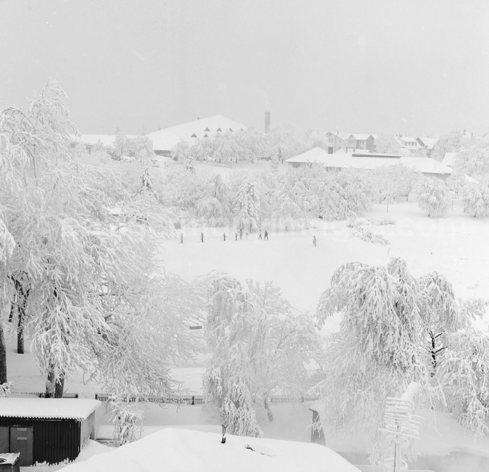 GDR picture archive: Oberhof - Winter landscape in Oberhof in today's state Thuringia