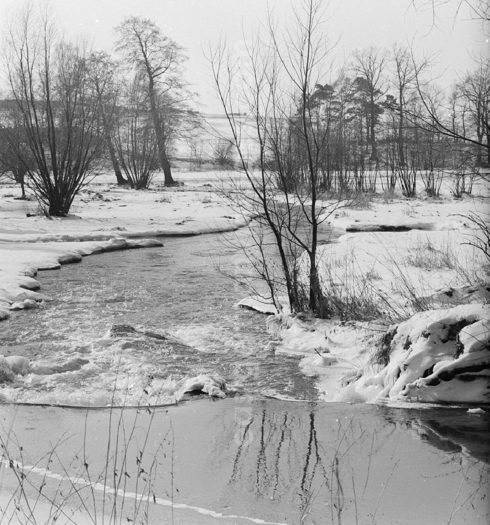 GDR image archive: Riesa - Winter landscape in Riesa in the state Saxony on the territory of the former GDR, German Democratic Republic