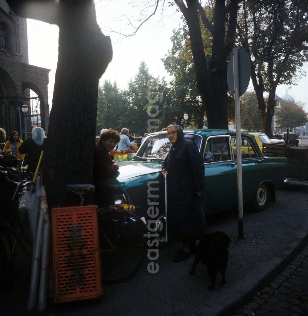 GDR image archive: Potsdam - Wochenmarkt auf dem Bassinplatz in Potsdam. Im Vordergrund eine ältere Frau mit Stock und Hund an der Leine, die sich auf einen metallic-grünen Moskwitsch stützt.