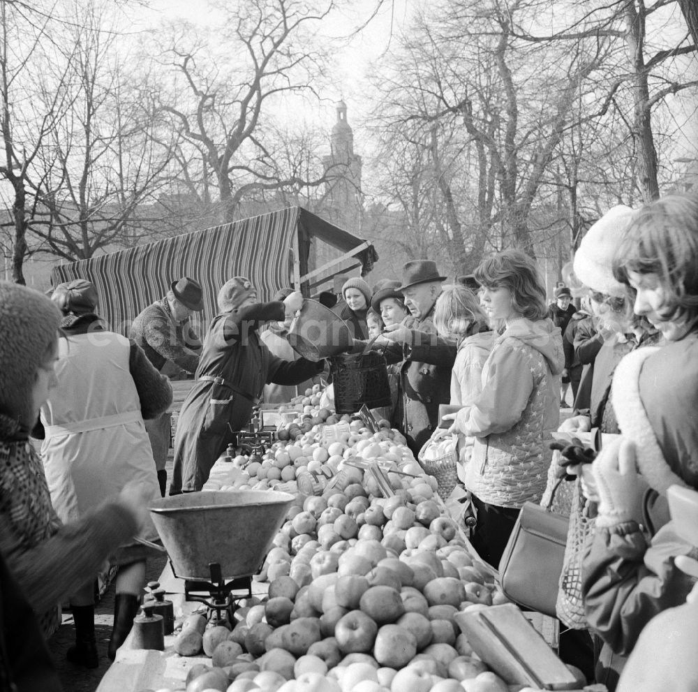 GDR image archive: Berlin - Fruit and vegetable sale at a market in Berlin, the former capital of the GDR, German Democratic Republic