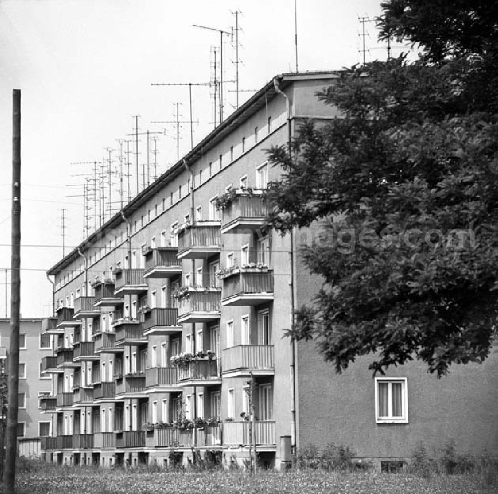 GDR image archive: Dessau - 22.