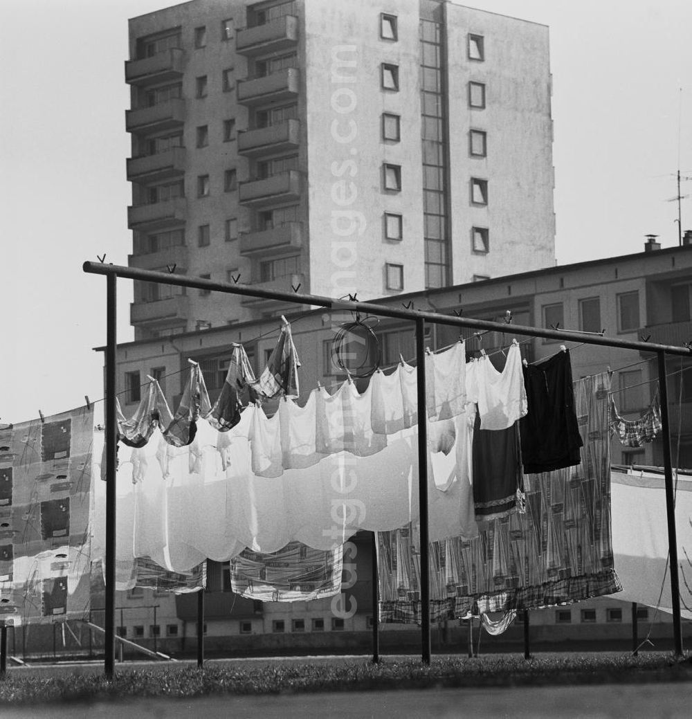 GDR picture archive: Berlin - Hauswäsche / Wäsche der Mieter hängt auf der Wäscheleine / Leine vor Neubauten.