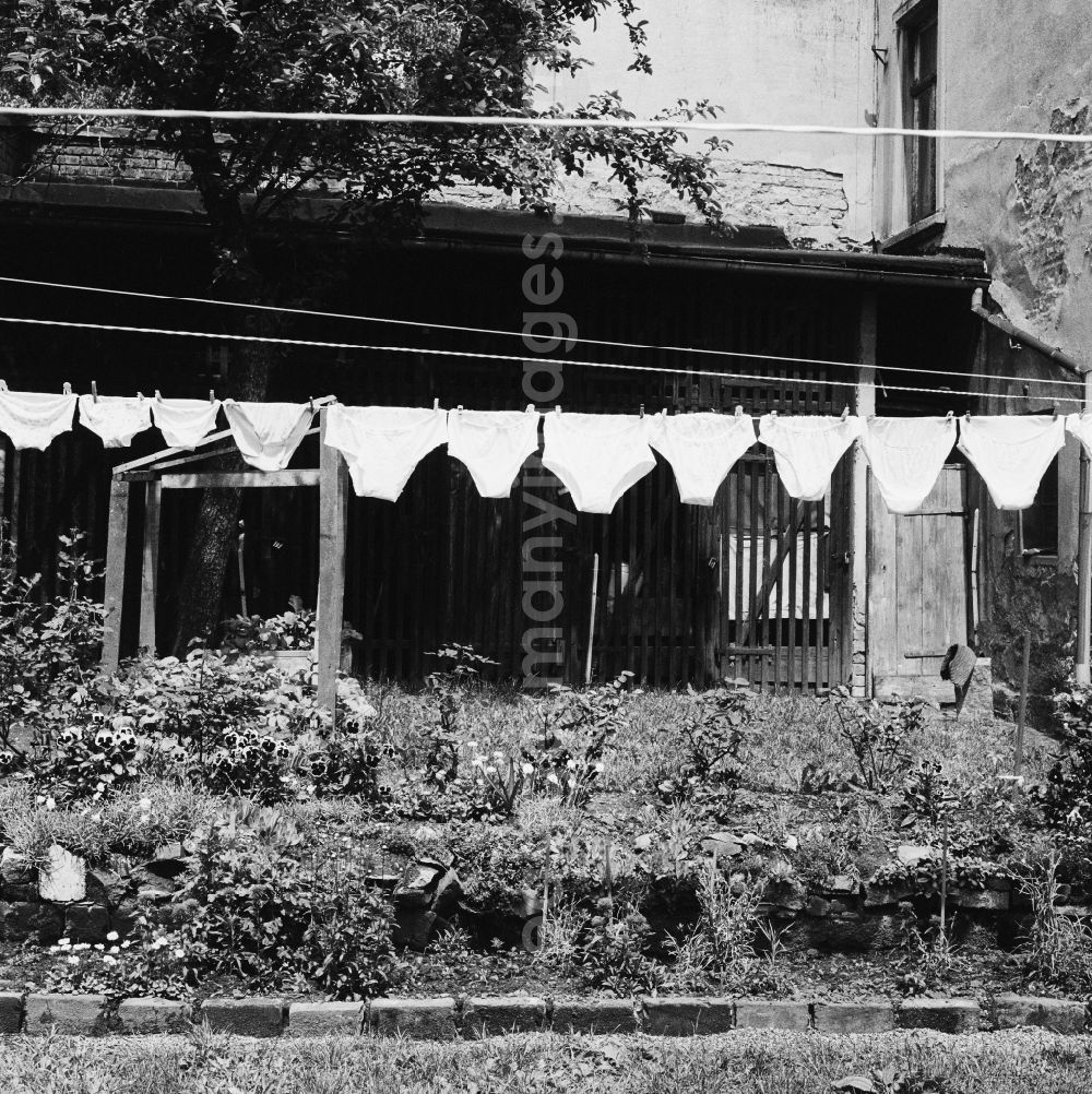 GDR photo archive: Zittau - Clothesline with freshly washed laundry in a backyard in Zittau in the state Saxony on the territory of the former GDR, German Democratic Republic