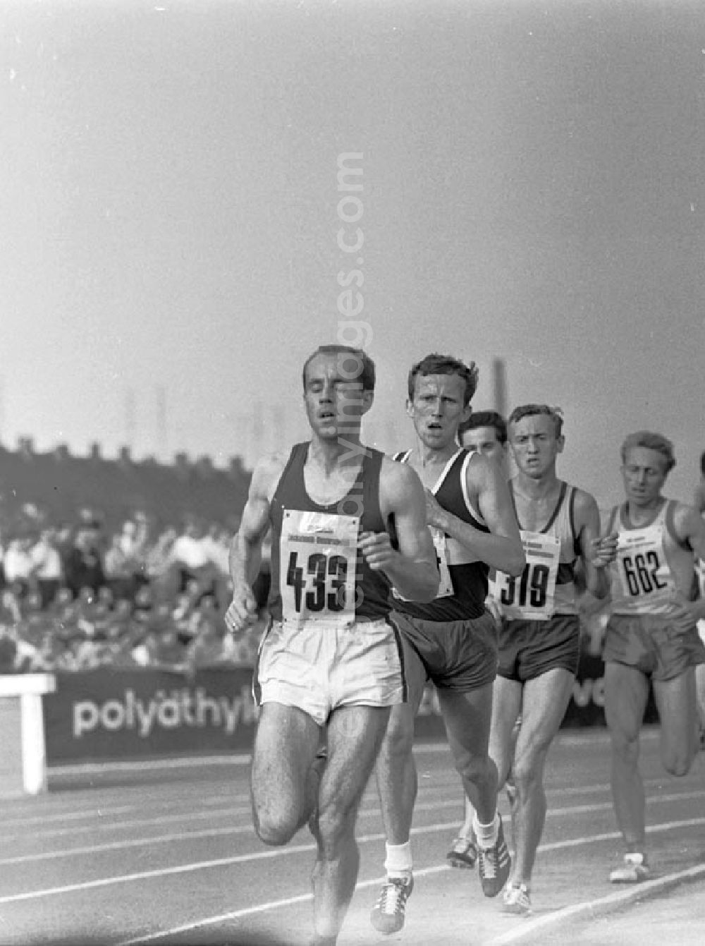 GDR photo archive: Halle - 27.-30.07.1967 XX. Leichtathletik Meisterschaft Halle 10.000m Lauf, Böttger, Blümer, Eisenberg (1