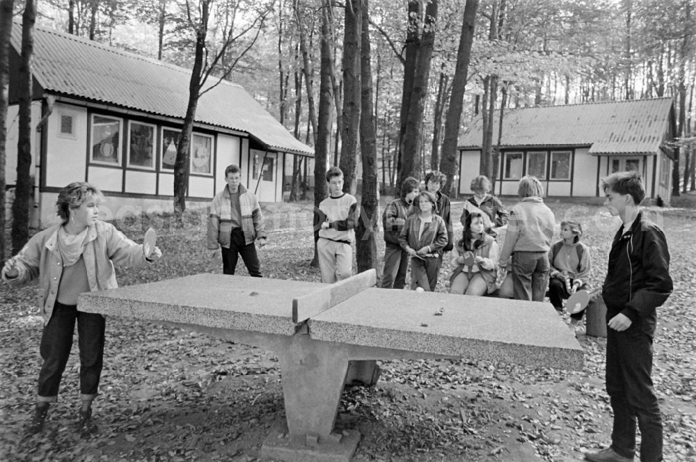 Friedrichsbrunn: Children play table tennis at the central pioneer camp Erich Weinert Friedrichsbrunn Pioneer camp Erich Weinert Friedrichsbrunn in the federal state of Saxony-Anhalt in the territory of the former GDR, German Democratic Republic