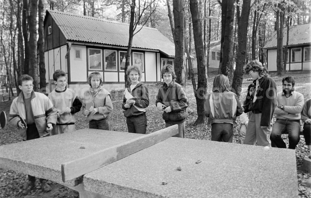 GDR image archive: Thale - Children play table tennis at the central pioneer camp Erich Weinert Friedrichsbrunn Pioneer camp Erich Weinert Friedrichsbrunn in the federal state of Saxony-Anhalt in the territory of the former GDR, German Democratic Republic