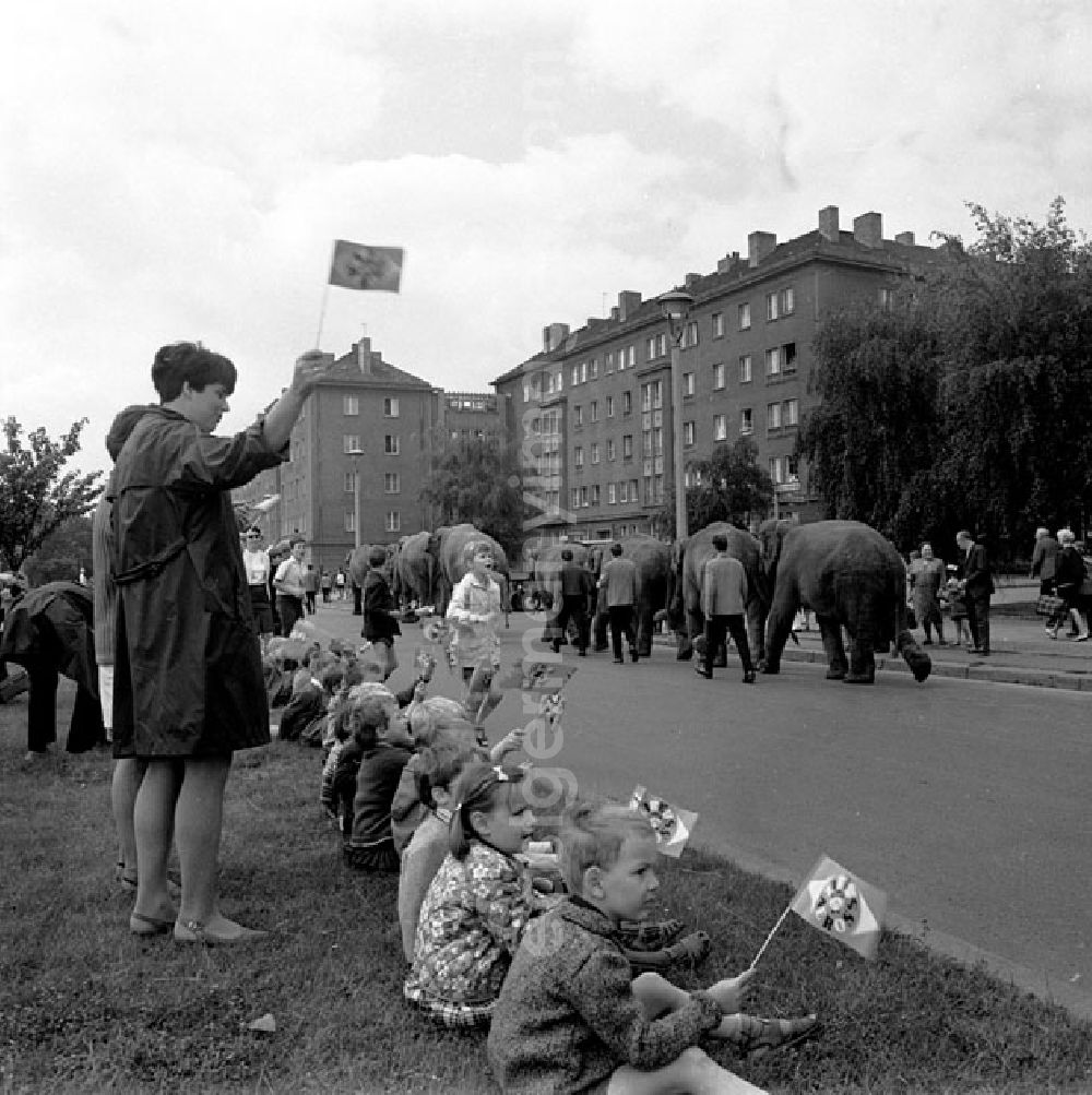 GDR image archive: Berlin - 08.