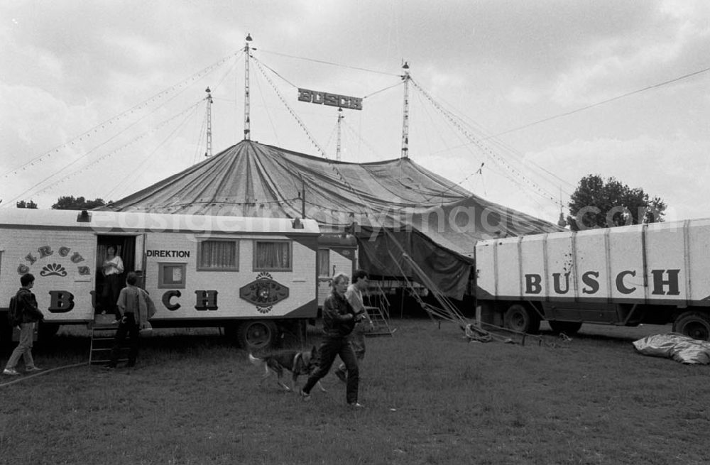 GDR picture archive: - Zirkus Busch baut Zelt auf 04.07.9