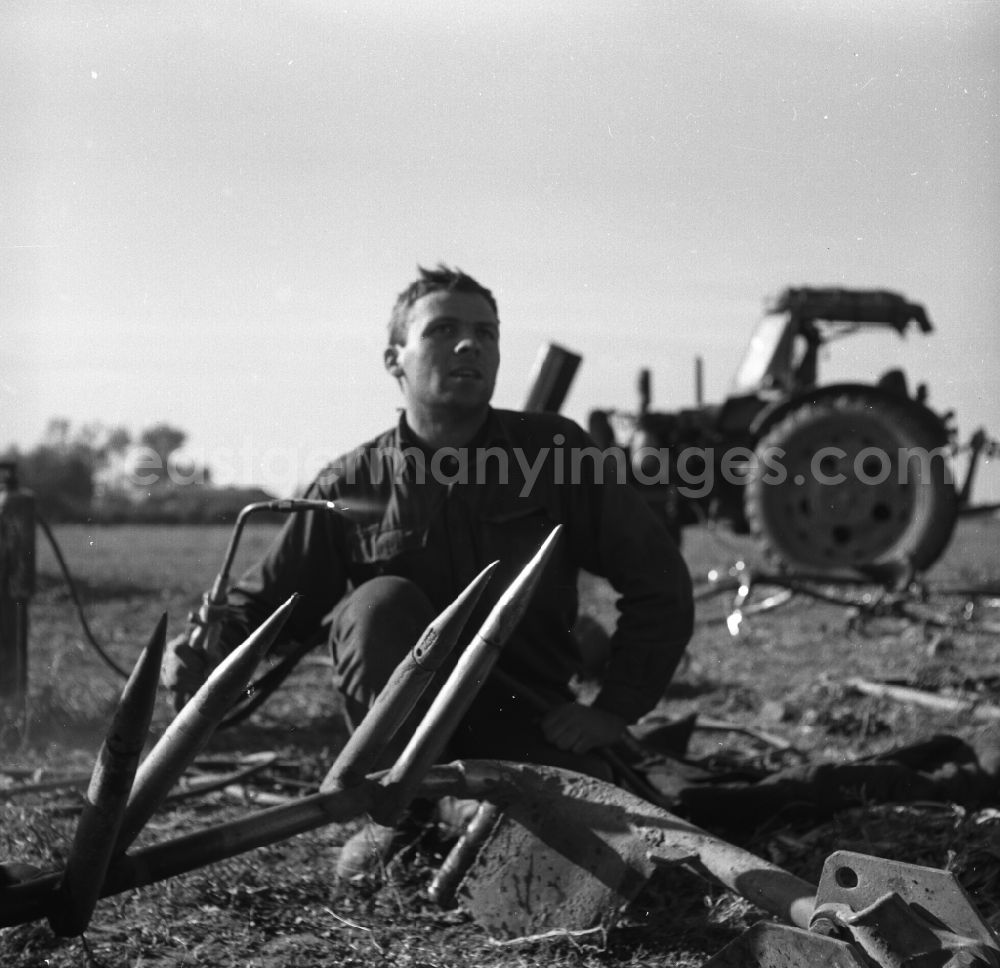 GDR photo archive: Trinwillershagen - Harvest workers sugar beet harvest of the German Agricultural Production Cooperative LPG Rotes Banner in Trinwillershagen in Mecklenburg-Western Pomerania