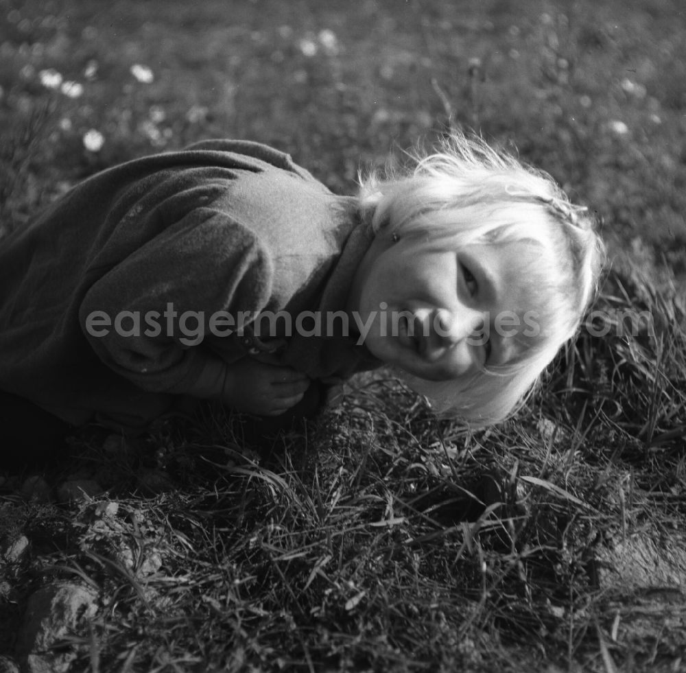 GDR image archive: Trinwillershagen - Children on the field during the sugar beet harvest of the German Agricultural Production Cooperative LPG Rotes Banner in Trinwillershagen in Mecklenburg-Western Pomerania
