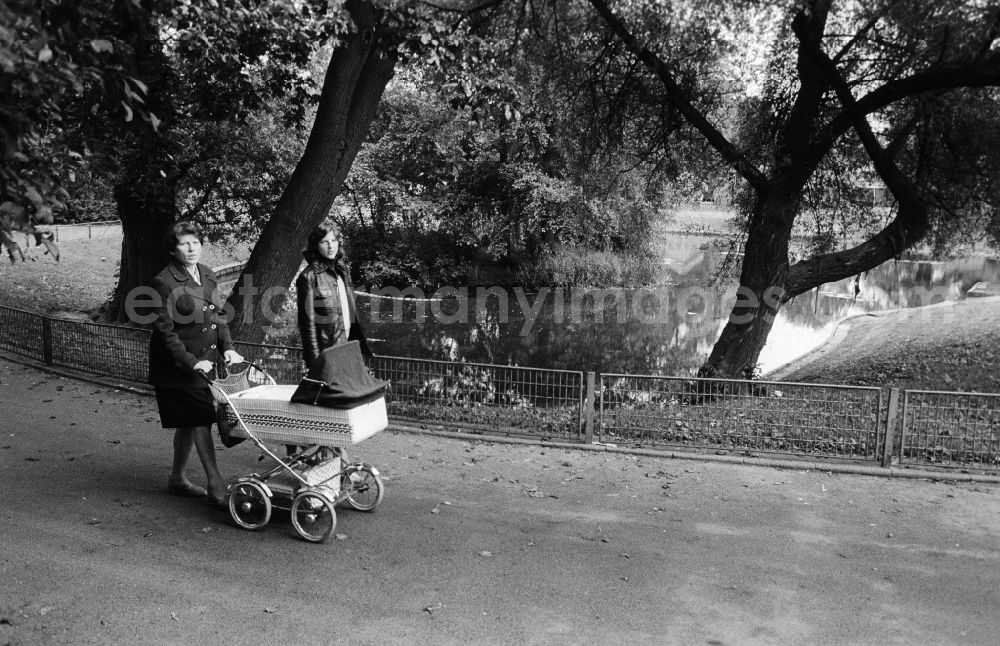 GDR photo archive: Berlin - Two women go by a baby carriage in a park walk in Berlin, the former capital of the GDR, German democratic republic