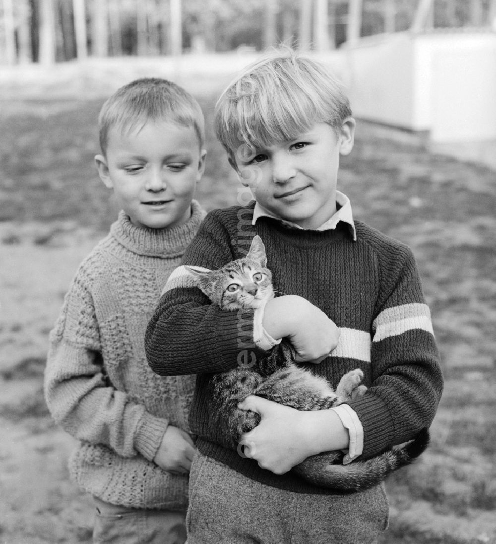 GDR photo archive: Mittenwalde - Two children with a cat in her arms in Mittenwalde in Brandenburg on the territory of the former GDR, German Democratic Republic