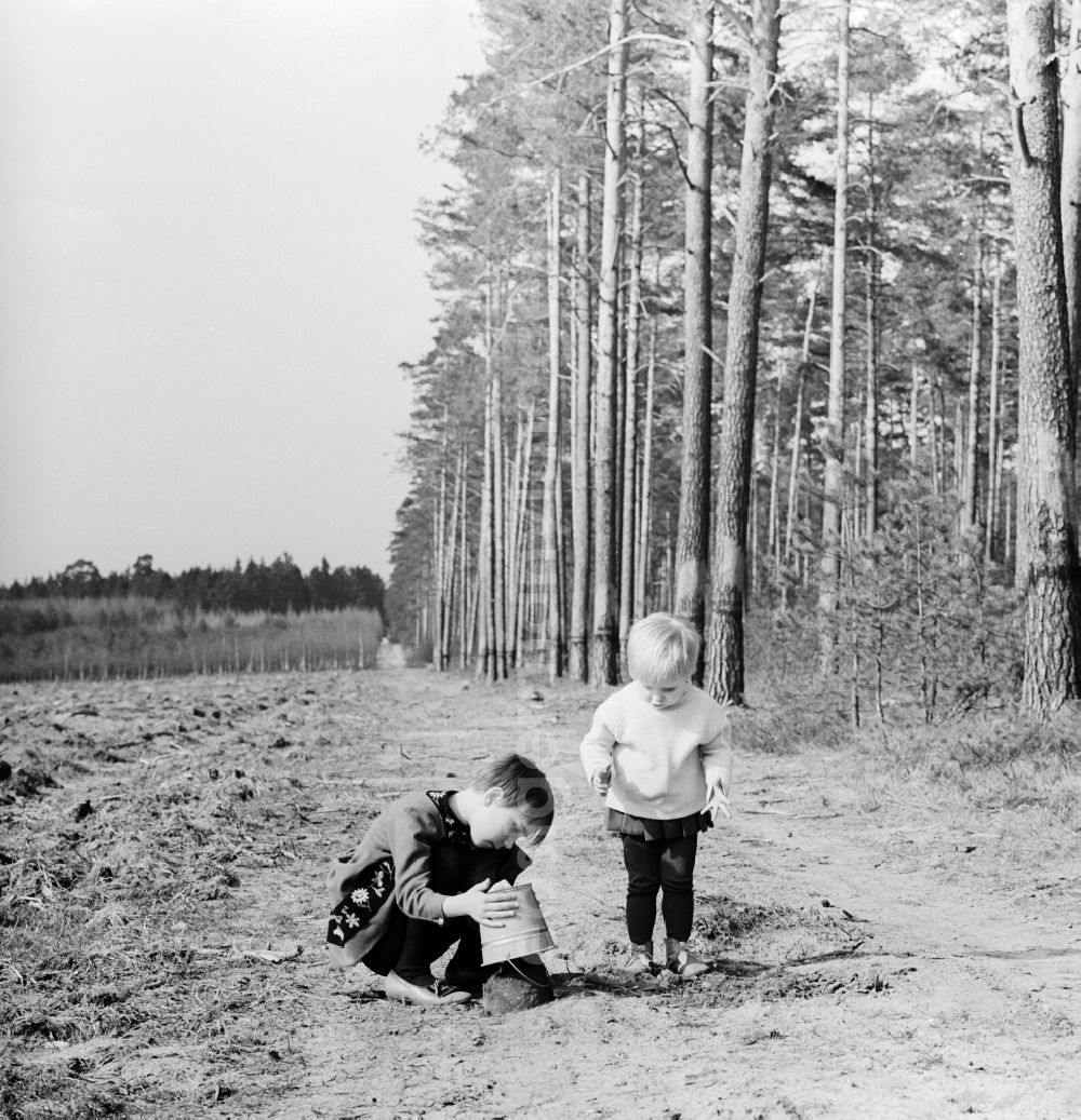 GDR image archive: Wernigerode - Two small children with a bucket and a shovel play in the sand in Wernigerode in the federal state Saxony-Anhalt on the territory of the former GDR, German Democratic Republic