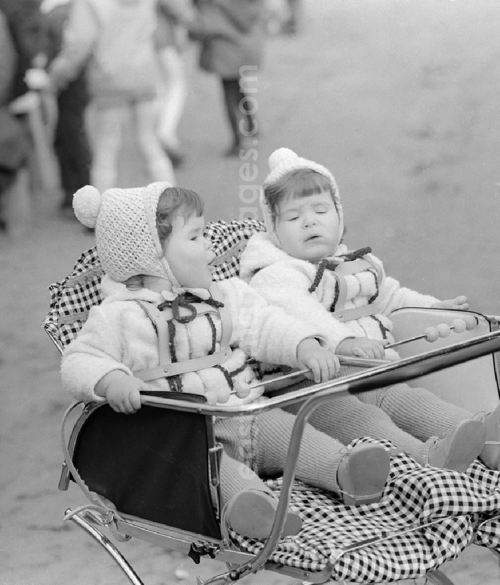 GDR photo archive: Berlin - Twins sit in a twin's baby carriage in Berlin, the former capital of the GDR, German democratic republic