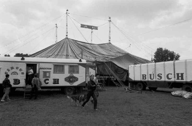 Zirkus Busch baut Zelt auf

04.07.9