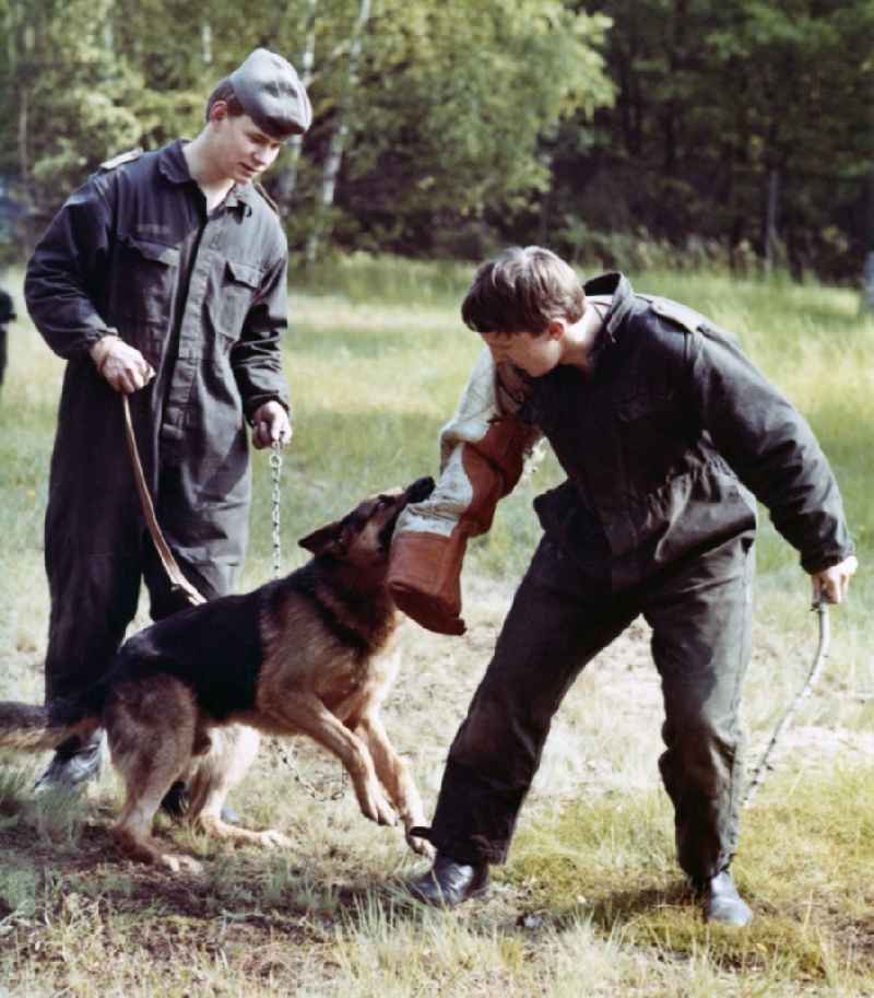 Guard dog training by soldiers of the border guards of the GDR