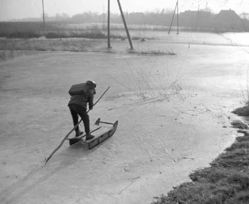 Im Ostseebad Ahrenshoop fährt ein Junge nach der Schule auf einem alten Schlitten über den Schnee nach Hause und gibt sich mit einem Stecken Schwung.