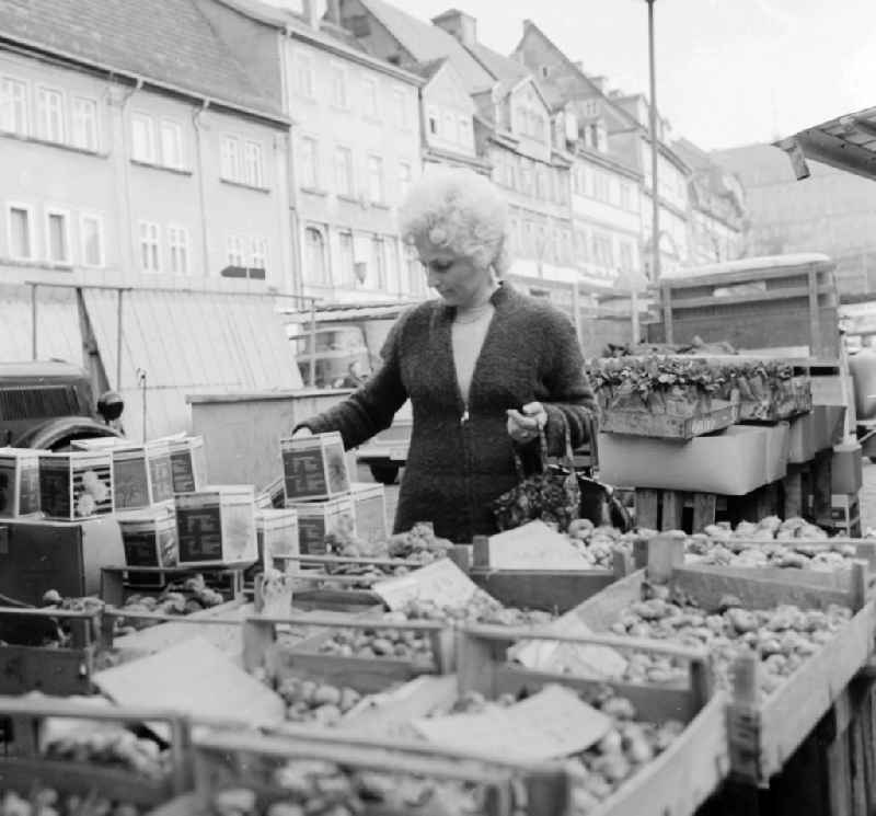 A woman buys bulb at the weekly market in Arnstadt in the federal state Thuringia in the area of the former GDR, German democratic republic
