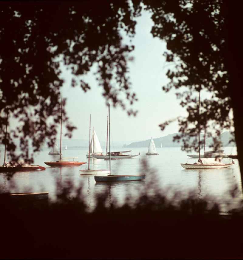 Segelboote auf dem Balaton. Der ungarische Plattensee gehörte zu den beliebtesten Reisezielen der DDR-Bürger im sozialistischen Ausland.