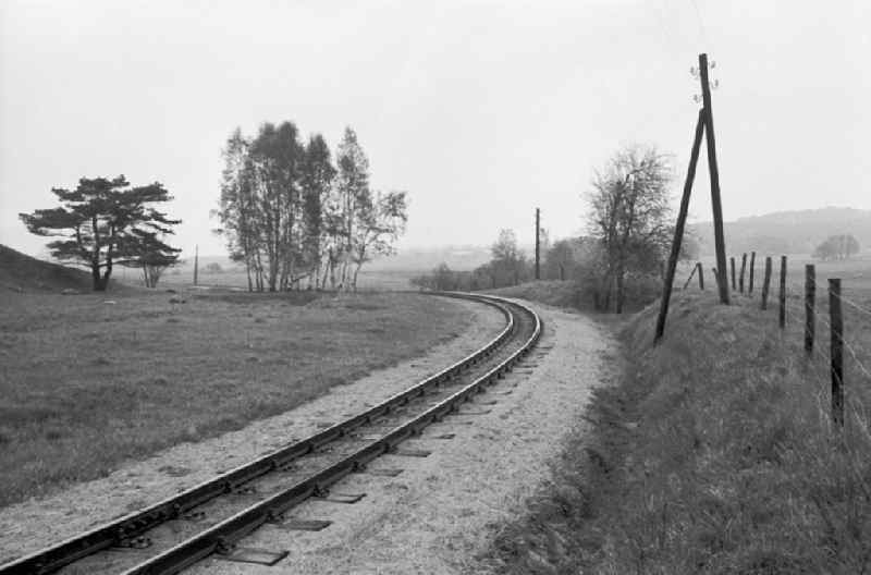 Track layout and tracks on the railway line der Ruegensche Baederbahn - Rasender Roland in Bergen auf Ruegen, Mecklenburg-Western Pomerania on the territory of the former GDR, German Democratic Republic