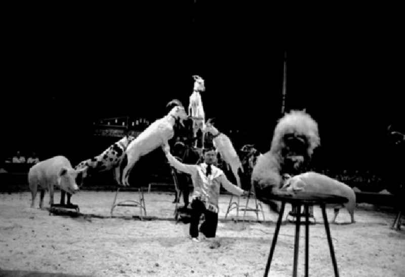 Juli 1973 Zirkus Aeros in Berlin.