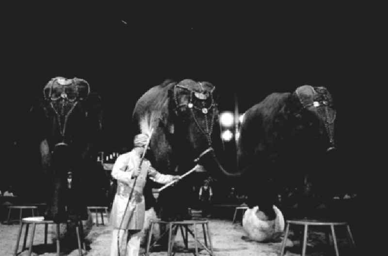 Juli 1973 Zirkus Aeros in Berlin.
