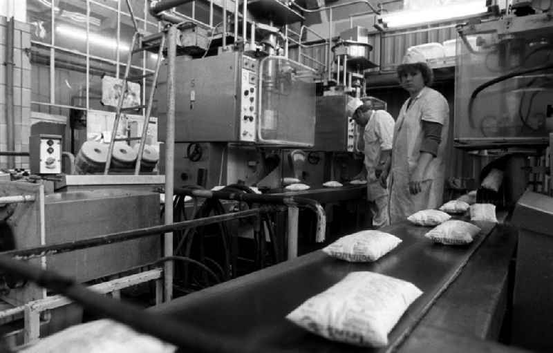 In Plastiktüten verpackte Vollmilch wird in einem Milchhof über Fließbänder weitergeleitet. Zwei Arbeiter stehen neben dem Fließband.