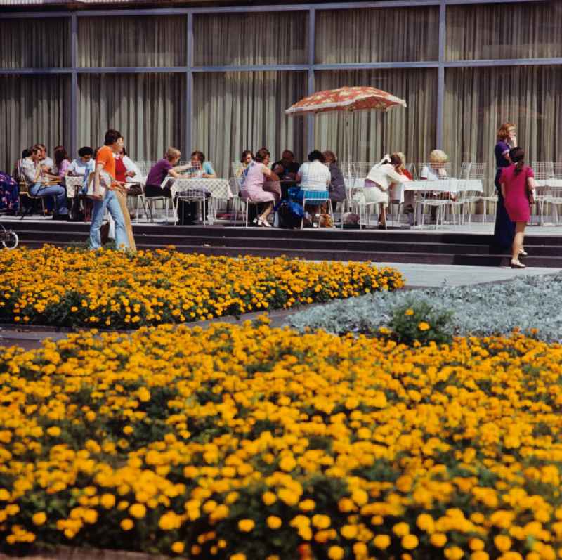 Ein gelbes Blütenmeer lädt vor dem Café am Lindencorso an der Friedrichstraße / Ecke Unter den Linden in Berlin-Mitte zum Verweilen ein. Das Lindencorso war ein 1966 eröffneter fünfgeschossiger Gaststätten- und Bürokomplex mit vorgelagerten Terrassen im Fußgängerbereich. Es wurde nach der Wende 199