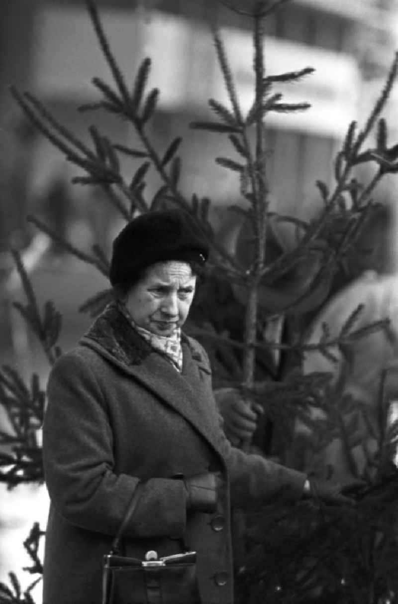 Eine Frau betrachtet beim Weihnachtsbaumverkauf einen eher spärlich bewachsenen Baum. Gut gewachsene Weihnachtsbäume mit vollen Zweigen gehörten in der DDR zur Mangelware - manche Familien kauften gleich zwei Bäume, um daraus einen schönen Baum mit vielen Zweigen zu 'konstruieren'.