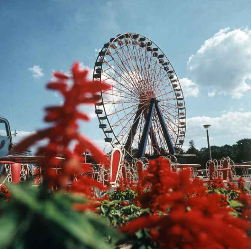 Blick auf das Riesenrad im Kulturpark Plänterwald in Berlin kurz vor seiner Eröffnung. Der Kulturpark war der einzige ständige Vergnügungspark der DDR. Nach der Wende fungierte der Park bis zum Jahr 20