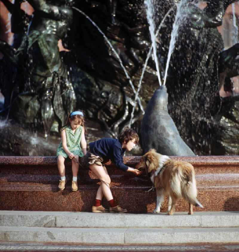 Ein Junge gibt seinem Hund Wasser aus dem Berliner Neptunbrunnen. Auch in der DDR kannte jedes Kind den Kult-Collie 'Lassie' und träumte davon, einen solchen Hund zu besitzen.
