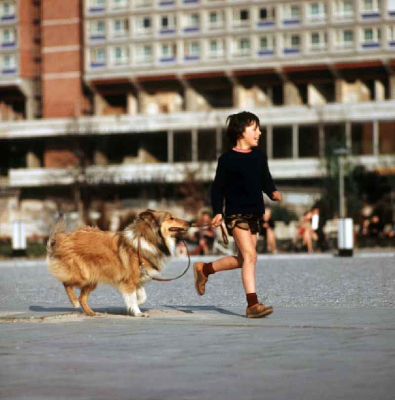Ein Junge spielt mit seinem Hund am Berliner Neptunbrunnen. Auch in der DDR kannte jedes Kind den Kult-Collie 'Lassie' und träumte davon, einen solchen Hund zu besitzen.