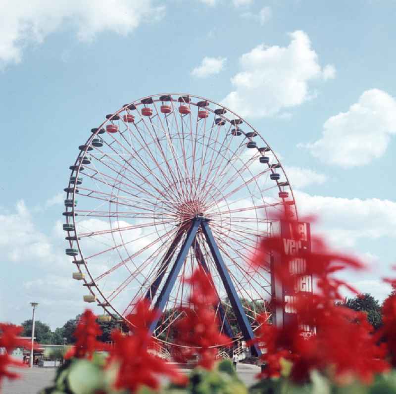 Blick auf das Riesenrad im Kulturpark Plänterwald in Berlin. Der 1969 eröffnete Kulturpark war der einzige ständige Vergnügungspark der DDR. Nach der Wende fungierte der Park bis zum Jahr 20