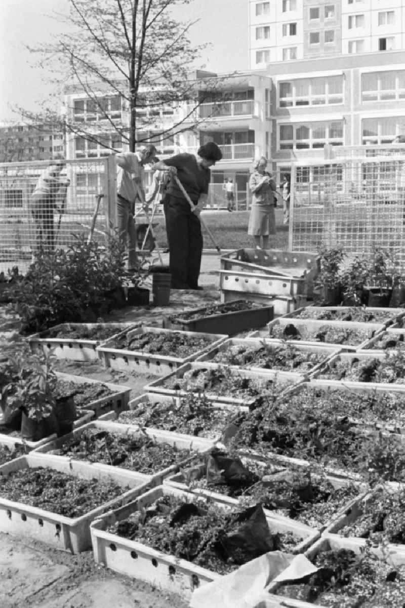 The inhabitants of the recently built development area Marzahn replant the green spaces at the new kindergarten. Under the slogan ' Mach mit! ' GDR citizens were persuaded to do something voluntarily and without pay for the improvement of housing conditions