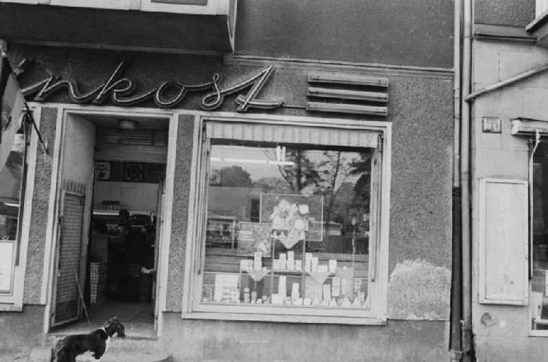 House front and Shopwindow for delicacies store in the borough Berlin-Pankow or Prenzlauer Berg
