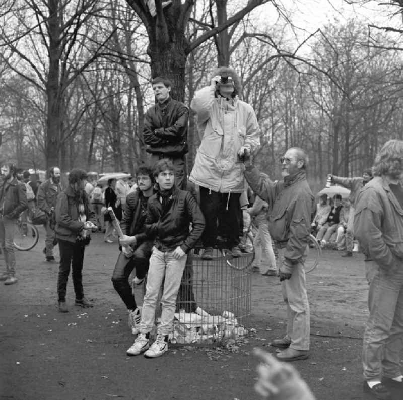Happening around the Brandenburg Gate shortly before the opening on the occasion of the Berlin Wall in November 1989 in Berlin. Spectators on trees in the Tiergarten near the Brandenburg Gate