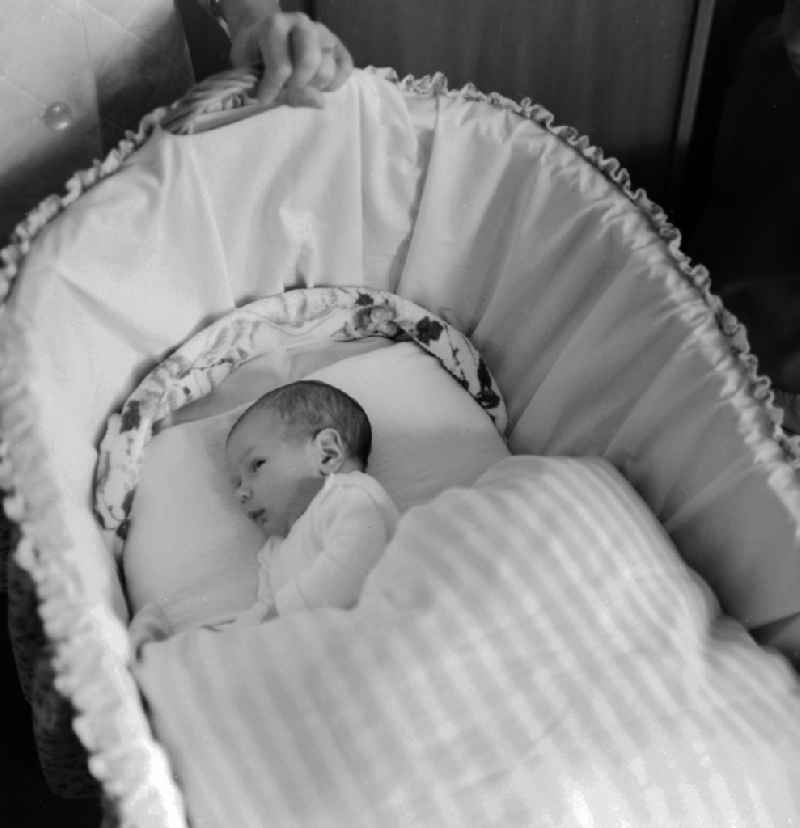 Infant in a bassinet in Berlin