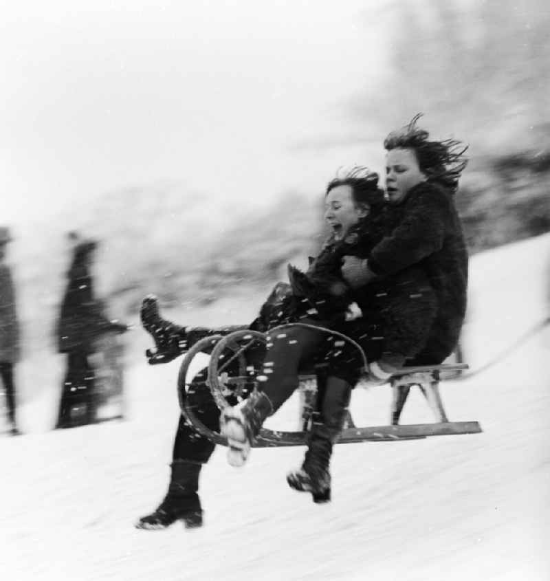 Children on a sled while sledding in Berlin