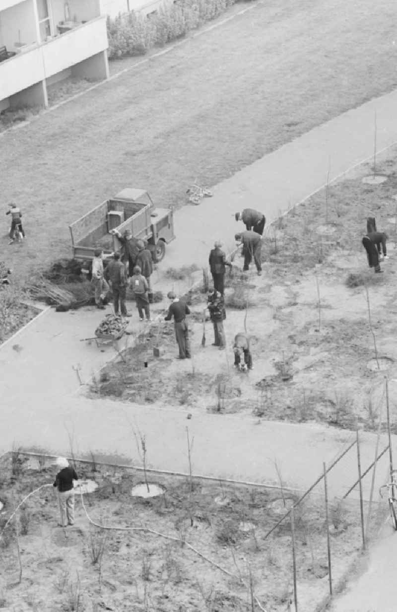 Subbotnik, voluntary labor in the courtyard in a new residential area in Berlin, the former capital of the GDR, the German Democratic Republic. This was • Annual spring cleaning in the cities, this waste was eliminated, streets were swept, planted trees and shrubs, and much more