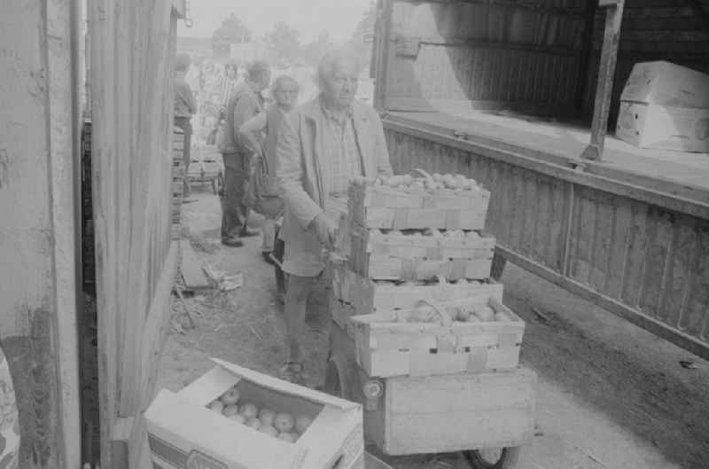 The wholesale company of fruit, vegetables and potatoes (OGS) buys fruit and vegetables from the allotments in a buying office in the city district of Marzahn in Berlin, the former capital of the GDR, the German Democratic Republic