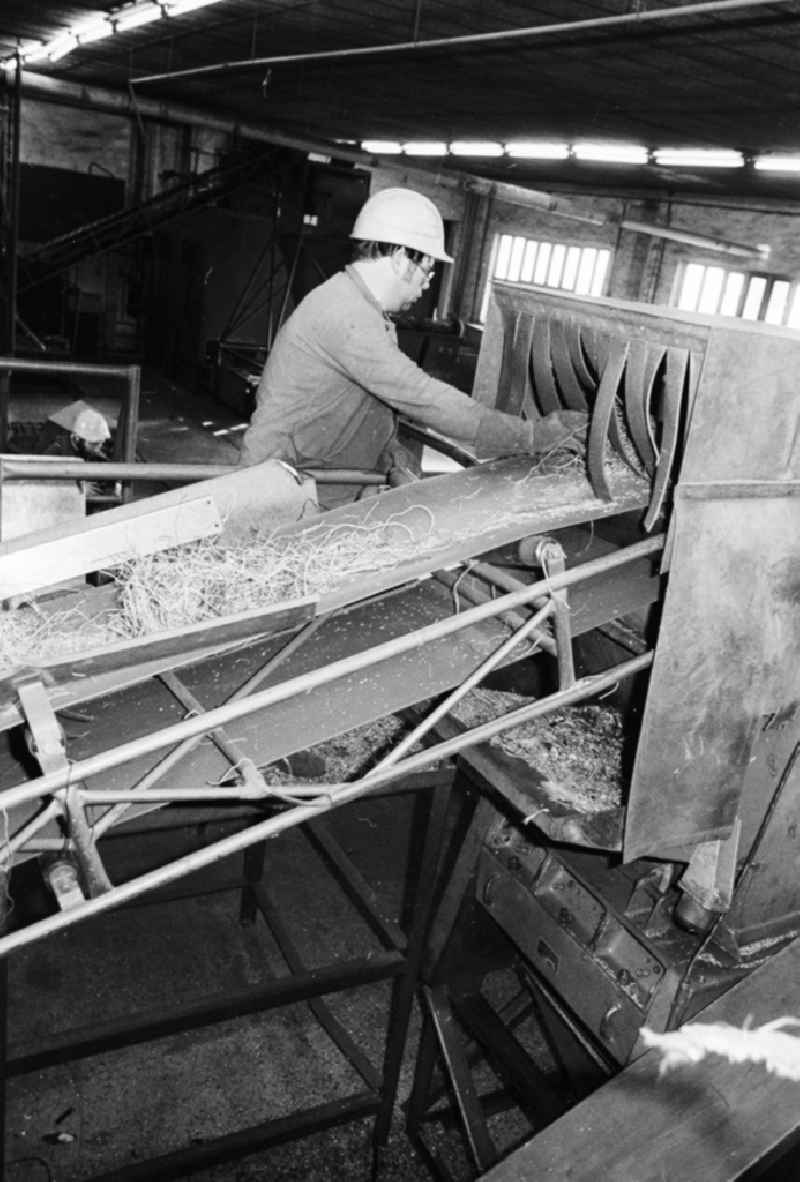 Valuable material separation in the combine VEB secondary raw material capture (SERO) in Berlin, the former capital of the GDR, German democratic republic. An employee separates valuable metals about a conveyor belt run