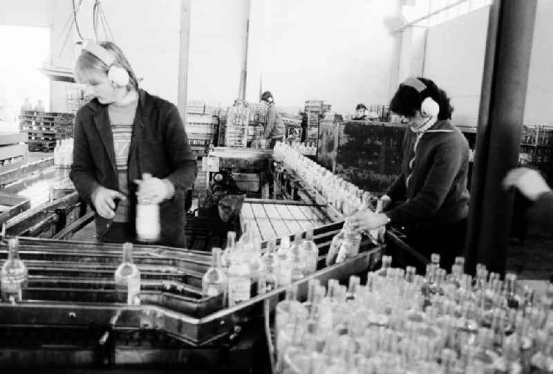 Valuable material separation in the combine VEB secondary raw material capture (SERO) in Berlin, the former capital of the GDR, German democratic republic. Employees sort here old glass bottles about a conveyor belt run. After the turn the Alba daughter Abfallwirtschaftsunion (AWU) took over the company in meal village