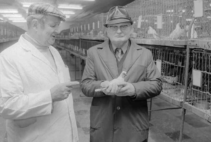 Two pigeon breeders exchange themselves during a Taubenaustellung, in Berlin, the former capital of the GDR, German democratic republic