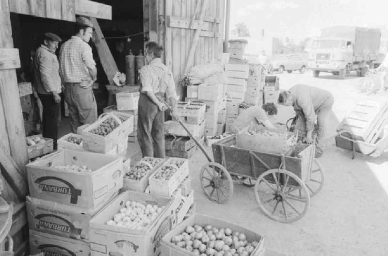 Fruit sales in an old barn in Old - Marzahn in Berlin, the former capital of the GDR, German democratic republic