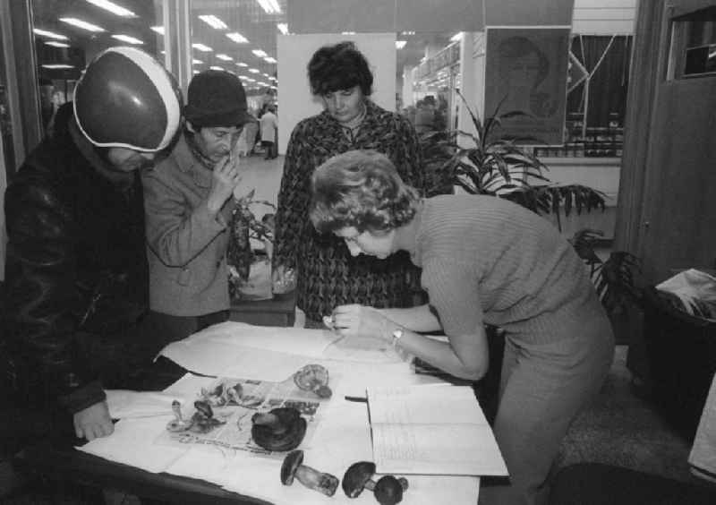 Mushroom collectors consult free of charge in the mushroom advice centre in the covered market on the Alexander's place whether her accumulated mushrooms are eatable or toxic, in Berlin, the former capital of the GDR, German democratic republic