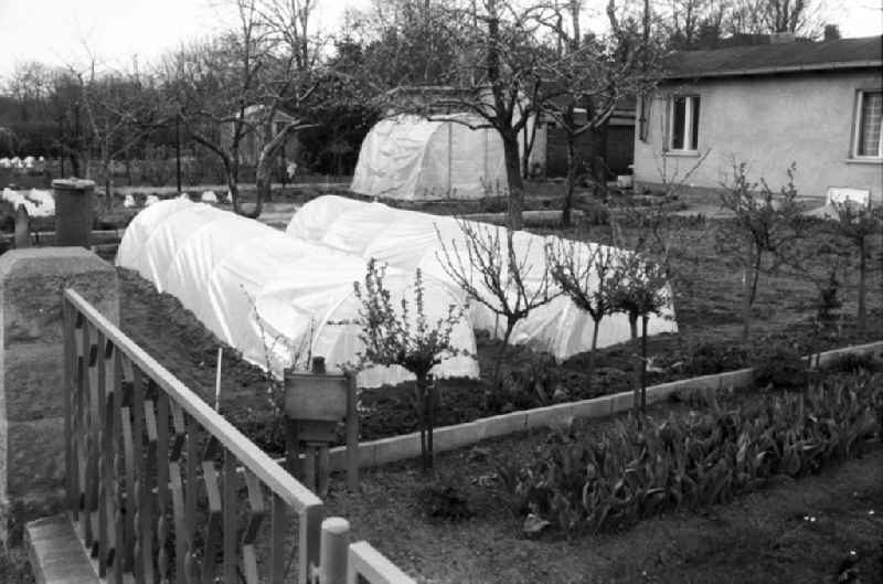 Greenhouses in the Alwin Bielefeldt allotment garden in Friedrichsfelde in the district Bezirk Lichtenberg in Berlin, the former capital of the GDR, German Democratic Republic