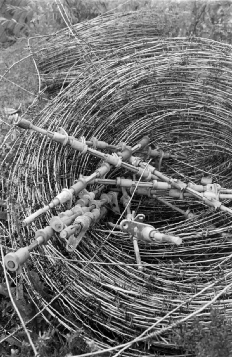 Barbed wire rolls of the barriers of the border fortifications and wall as well as security structures in the former blocking strip of the state border at a camp of the border troops in the Steinstuecken district in Berlin on the territory of the former GDR, German Democratic Republic