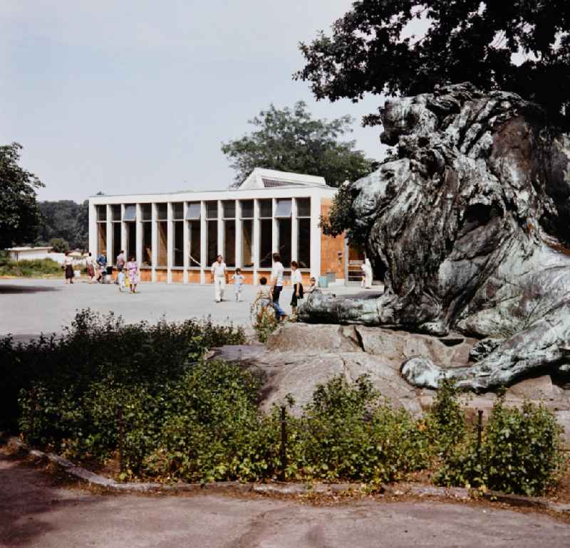 Lion sculpture, group of lions by the sculptors August Kraus (roaring lion) and August Gaul (resting lion) in front of the Alfred Brehm House in the Friedrichsfelde Zoo in East Berlin on the territory of the former GDR, German Democratic Republic